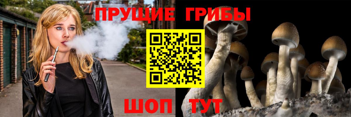 Старая Купавна  Галлюциногенные грибы мицелий  продажа наркотиков  Вход с VPN  Галлюциногенные грибы Cubensis 